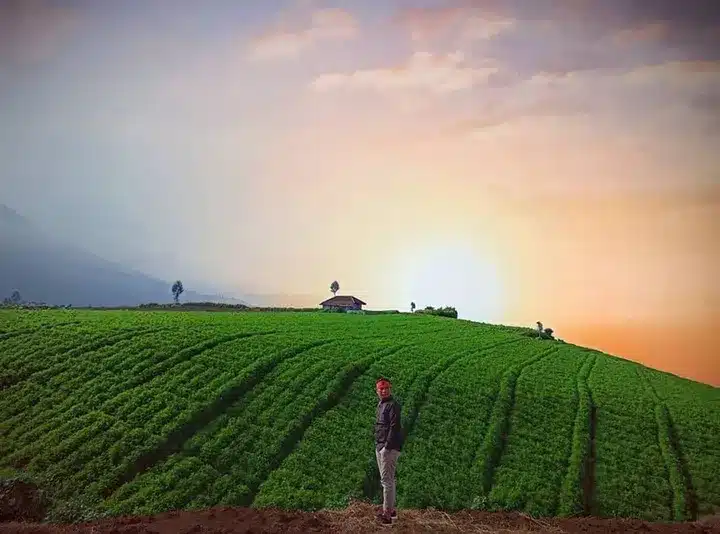 Brakseng Batu, East Java