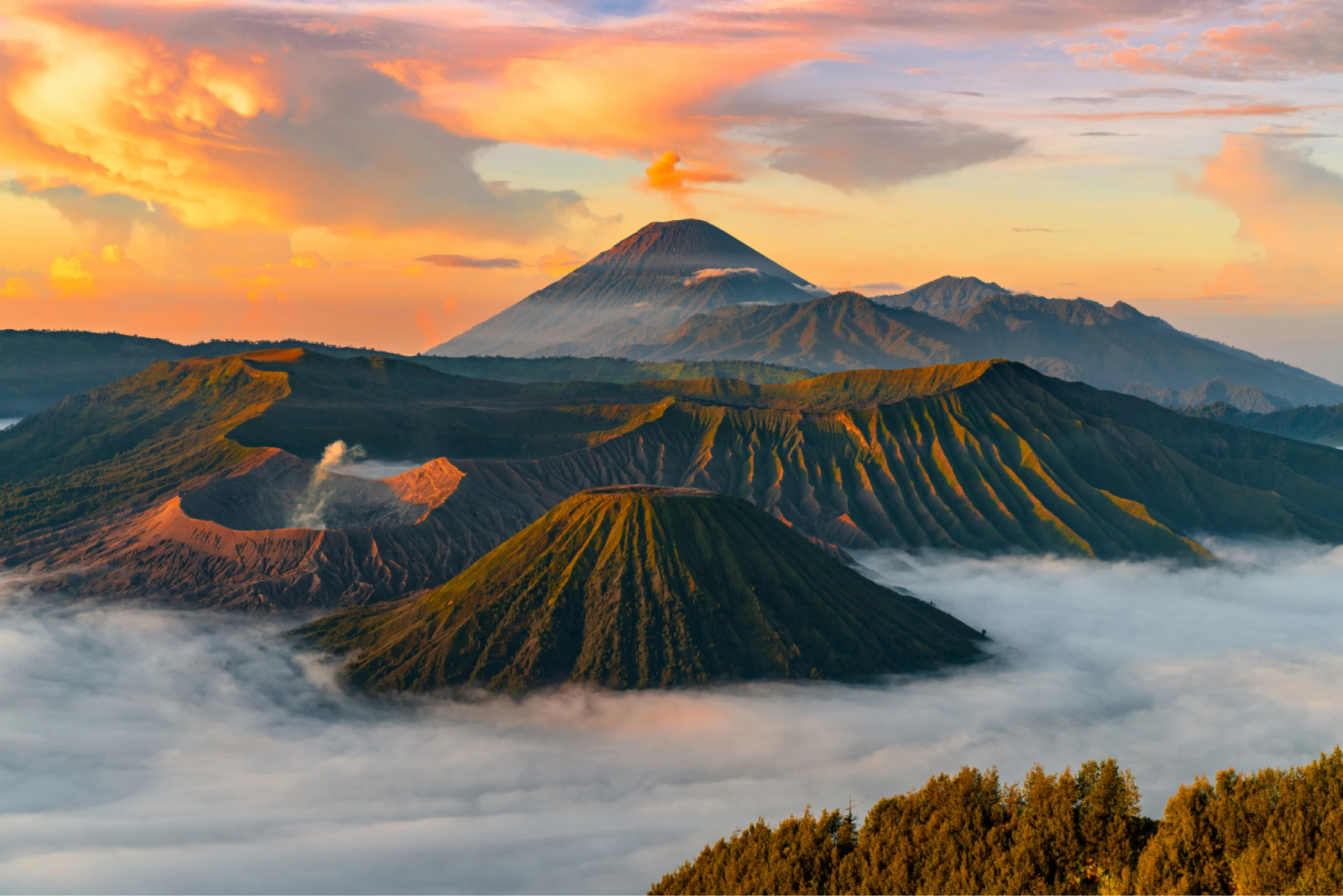 Bromo Webp